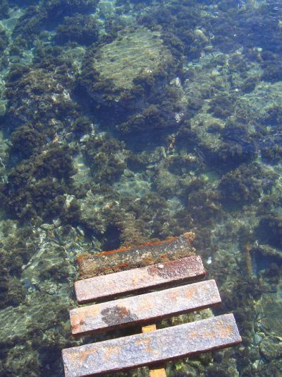 Metal steps descending into a crystal clear sea.
