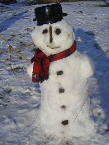 What’s winter without snow and a snowman?!
