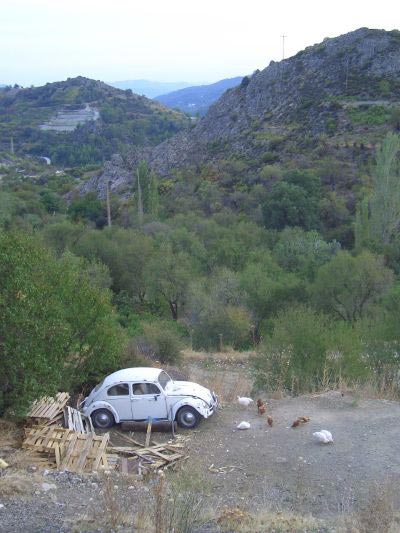 In the Trodos mountains.