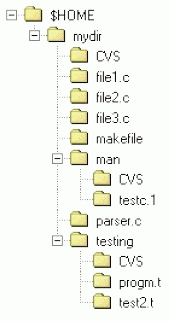 sample CVS structure picture