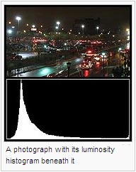 A photograph with its luminosity histogram beneath it
