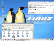 Debian running a KDE desktop
