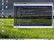 Knoppix Linux desktop