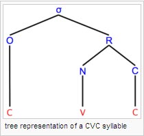 tree representation of a CVC syllable