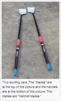 Two sculling oars. The "blades" are at the top of the picture and the handles are at the bottom of the picture. The blades are "hatchet blades."