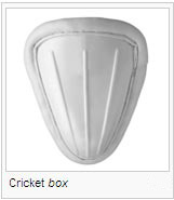 Cricket box