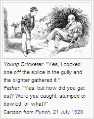 Cricket glossary. Cartoon from Punch, 21 July 1920