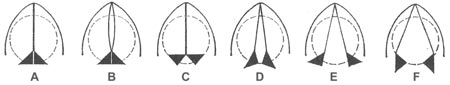 A continuum from closed glottis to open. The black triangles represent the arytenoid cartilages, the sail shapes the vocal cords, and the dotted circle the windpipe