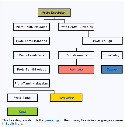 This tree diagram depicts the genealogy of the primary Dravidian languages spoken