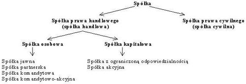 Classification of Polish business entities spółki