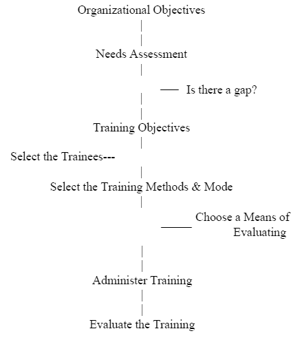 Steps in the Training Process