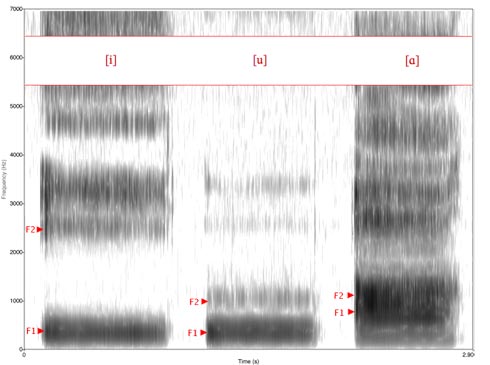 Spectrogram of vowels
