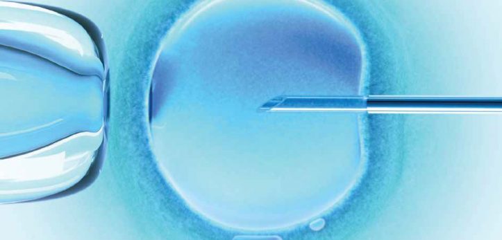 The truth about in vitro fertilisation